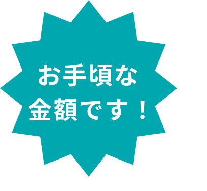 お手頃な金額です！